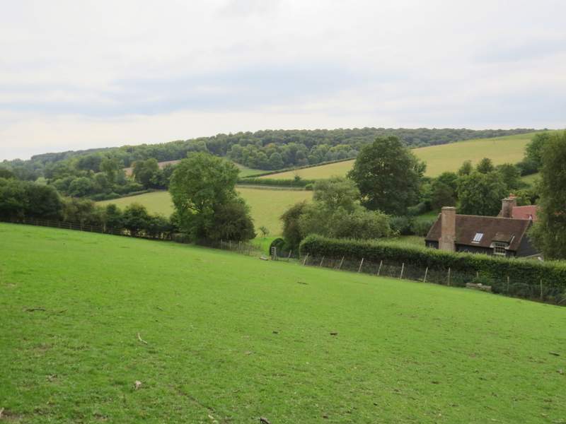 Pete's Walks Cowleaze Wood, Christmas Common, Studdridge Farm (page 4